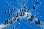 AI Scientists Need a Social Network